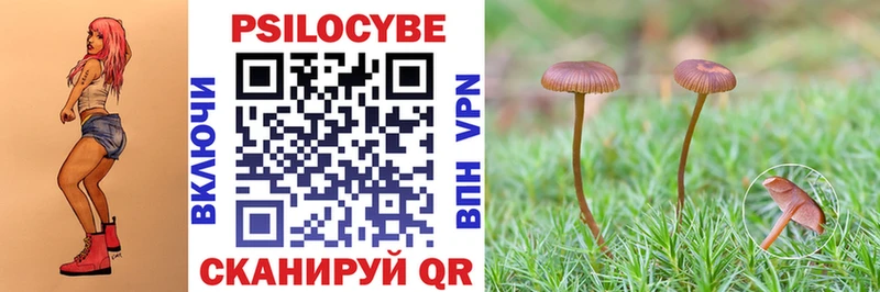 Псилоцибиновые грибы MAGIC MUSHROOMS Усолье